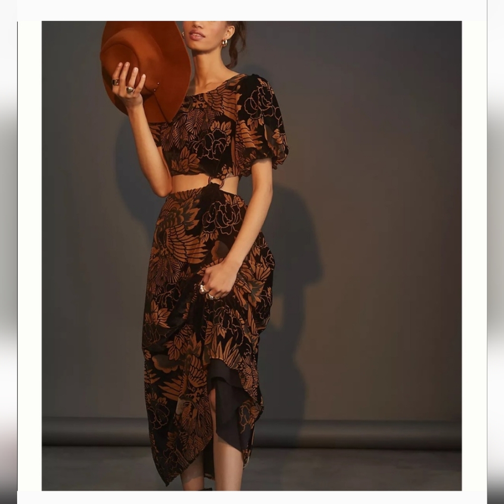 Anthropologie Elegant Black and Brown Floral Dress